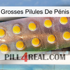 Grosses Pilules De Pénis new11